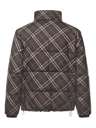 Burberry Jackets Truffle In Brown