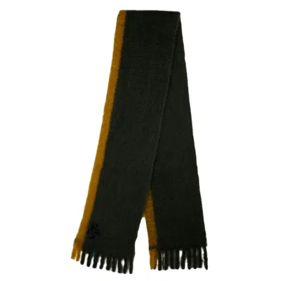 The Extreme Collection Women's Mohair Bicolor Scarf Paxton Green In Green