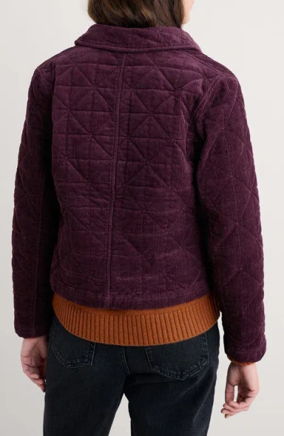 Seasalt Cornwall Incoming Tide Quilted Organic Cotton Corduroy Jacket In Multi