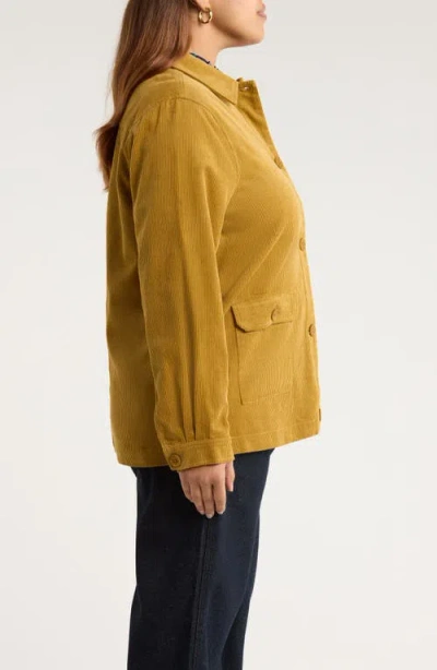 Seasalt Cornwall Hydrock Corduroy Shirt Jacket In Yellow