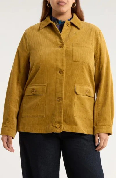 Seasalt Cornwall Hydrock Corduroy Shirt Jacket In Yellow