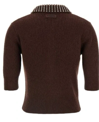 Pinko Emilia Blend Sweater With Rhinestones In Brown