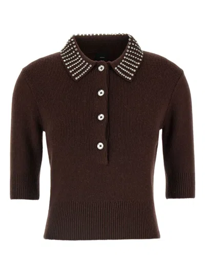 Pinko Emilia Blend Sweater With Rhinestones In Brown
