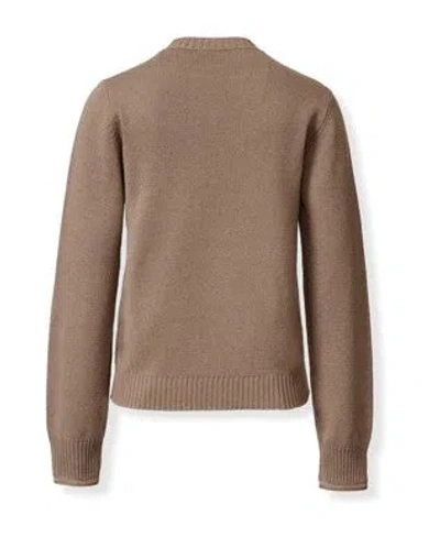 Fabiana Filippi Sweaters Corteccia In Brown