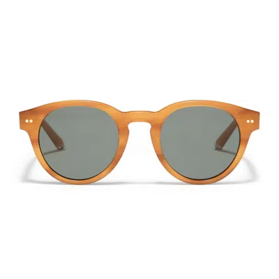 Taylor Morris Eyewear The Sloane