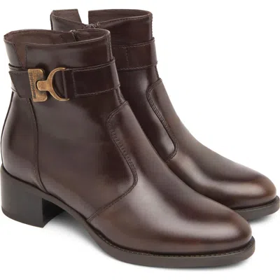 Nerogiardini Ankle Strap Bootie In Brown