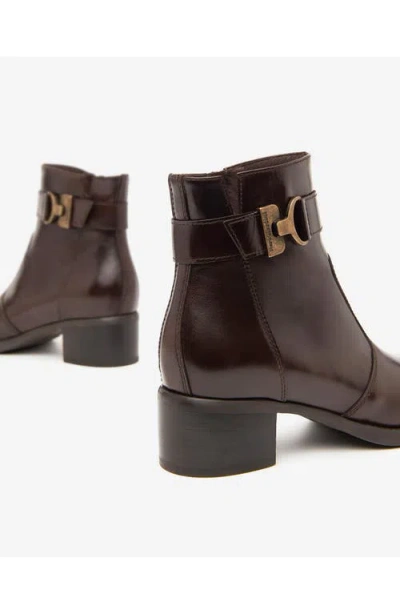 Nerogiardini Ankle Strap Bootie In Brown
