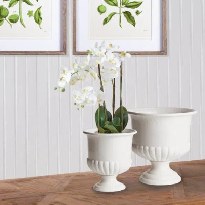 Napa Home & Garden Mirabelle Decorative Pedestal Bowl In White
