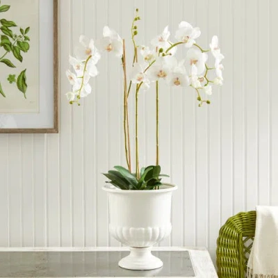 Napa Home & Garden Mirabelle Decorative Pedestal Bowl In White