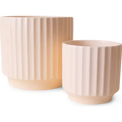 Jungle Club Monroe Planter In White