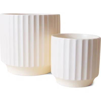 Jungle Club Monroe Planter In White