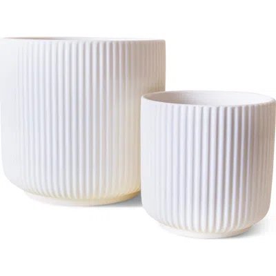 Jungle Club Lucy Planter In White