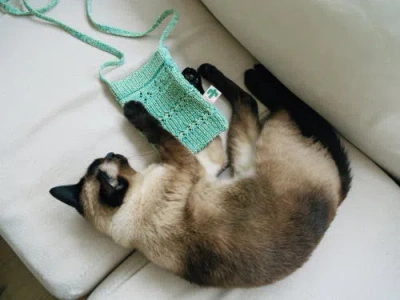 Lost Pattern Nyc "cactus" Crochet Crossbody Phone Bag In Green