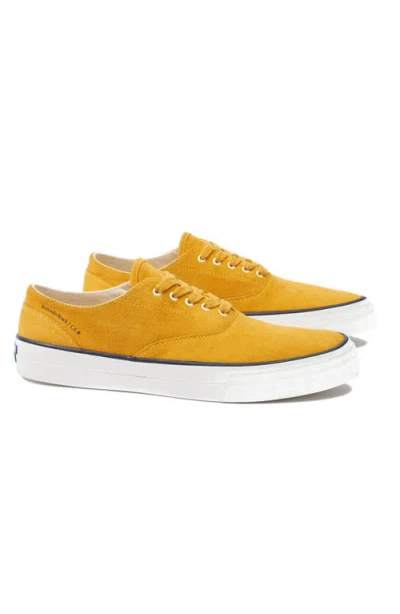 Fortela Redondo Suede Sneakers By Mr. Fliks In Yellow
