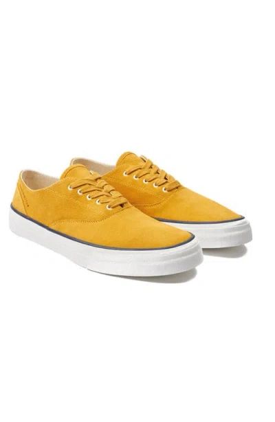 Fortela Redondo Suede Sneakers By Mr. Fliks In Yellow