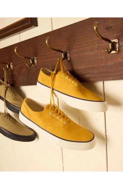 Fortela Redondo Suede Sneakers By Mr. Fliks In Yellow