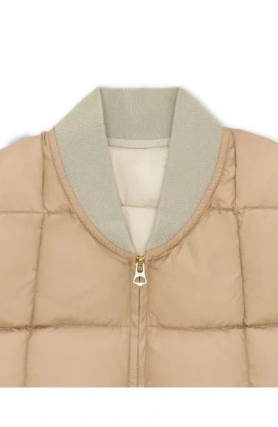 Fortela Nylon Vest1 In Brown