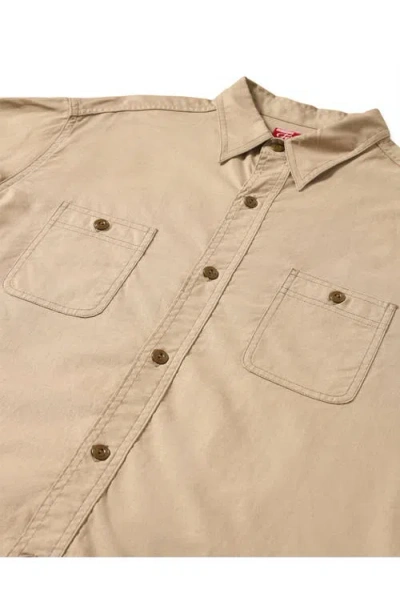 Fortela Otero Cotton Shirt In Gold