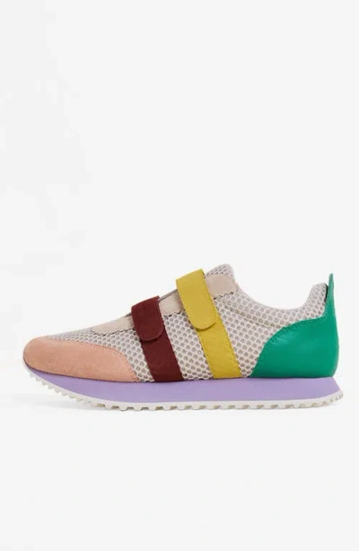 Charlotte Stone Conway Sneaker In Multi