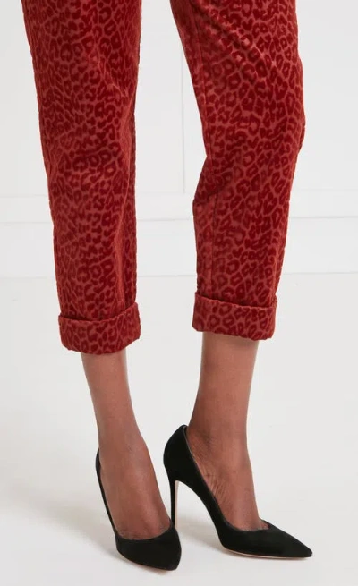 Temperley London Lynx Velvet Tapered Trouser In Red