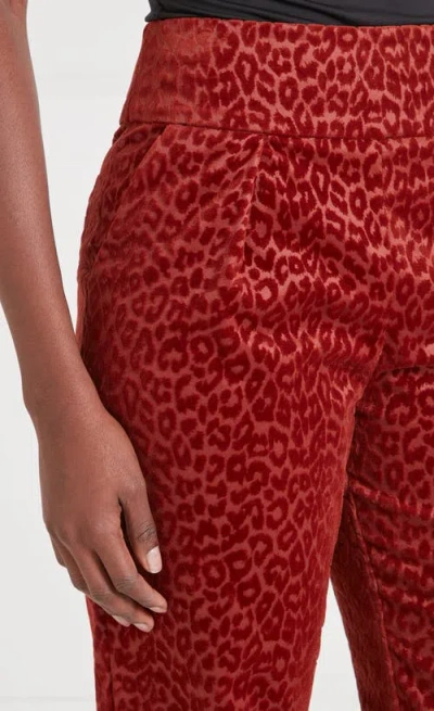 Temperley London Lynx Velvet Tapered Trouser In Red