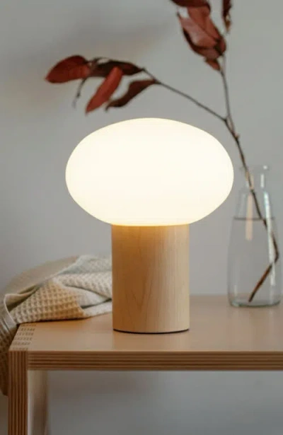 Brightech Ivy 9.5" Modern Led Table Lamp With Oval Frosted Glass Shade And Phone Charging Usb-c Port In Multi