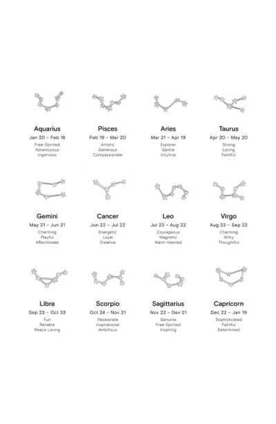 Bearfruit Jewelry 14k Gold Constellation Zodiac Necklace, 12 Zodiac Constellation Holiday Gift Idea In Silver