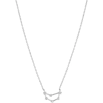 Bearfruit Jewelry 14k Gold Constellation Zodiac Necklace, 12 Zodiac Constellation Holiday Gift Idea In Silver