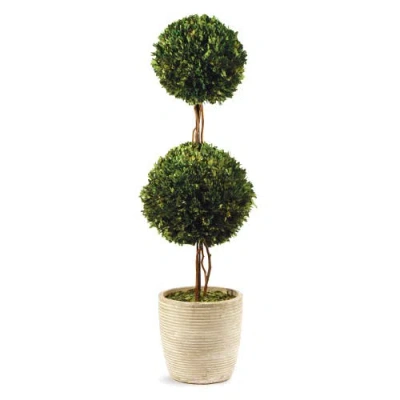 Napa Home & Garden 28in Double Sphere Topiary In Multi