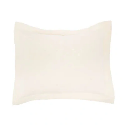 Elisabeth York 20" X 26" Delfina Ivory Cotton Standard Sham In White
