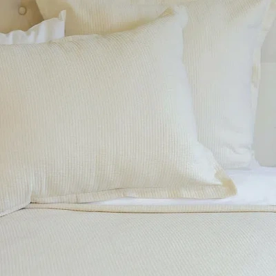 Elisabeth York 20" X 26" Delfina Ivory Cotton Standard Sham In White