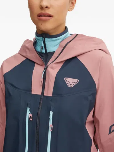 Dynafit Logo Hooded Jacket In Multi