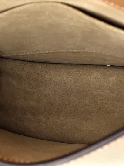 Pre-owned Chloé Nile Leather Small Crossbody Bag In Neutral