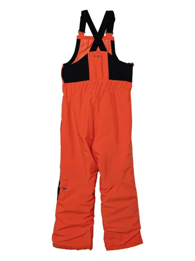 Columbia Holcomb Grove™ Logo-print Ski Dungarees In Animal Print