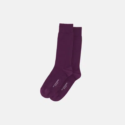 Scarosso Colocott Socks In Purple