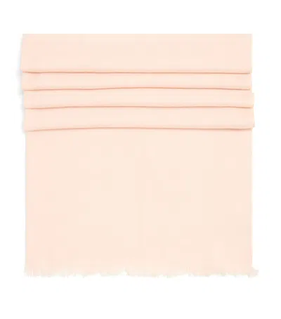 Agnona Cashmere Scarf In Pink