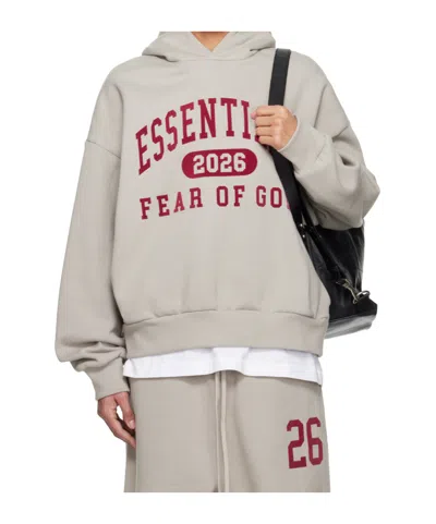 Essentials Classic Hoodie In Gray