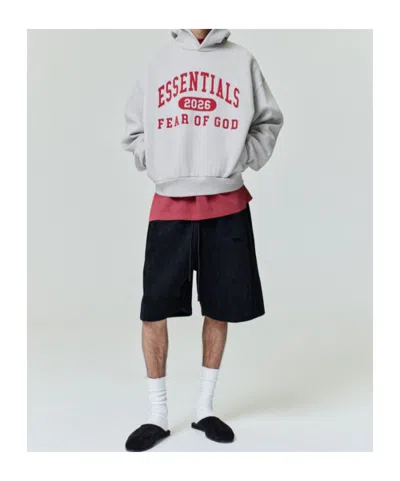 Essentials Classic Hoodie In Gray