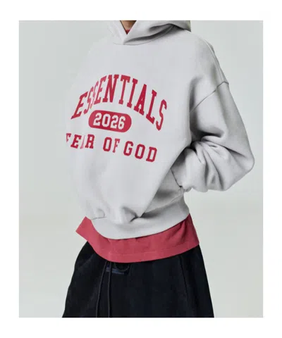 Essentials Classic Hoodie In Gray
