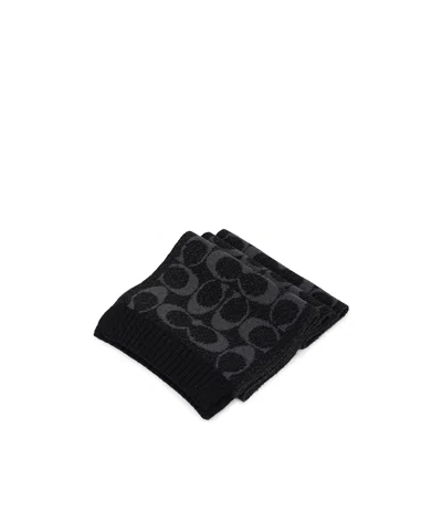 Coach Ribbed Scarf In Brown