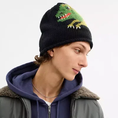 Coach Jumbo Rexy Print Knit Beanie In Multi