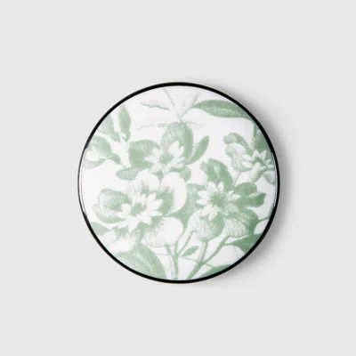 Gucci Kleine Schatulle Mit Herbarium-print In Green