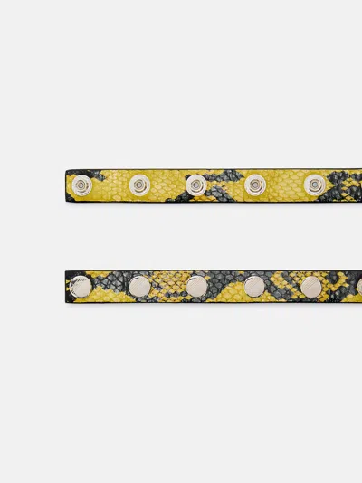Attico Yellow And Black Belt In Multi