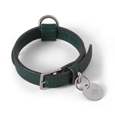 Mulberry Green In Green