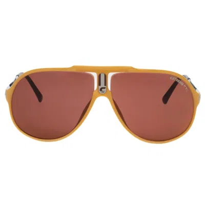Carrera 5590 71 In Brown