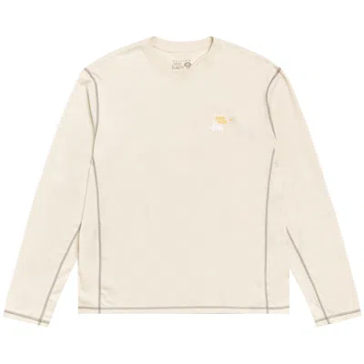 Pre-owned Stussy X Mountain Hardwear Long-sleeve Tee 'stone' | Grey | Men's Size L In Gray