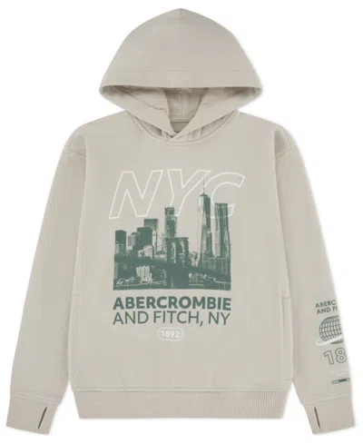 Abercrombie Boys 5-18 Buildings Pull-on Hoodie In Gray