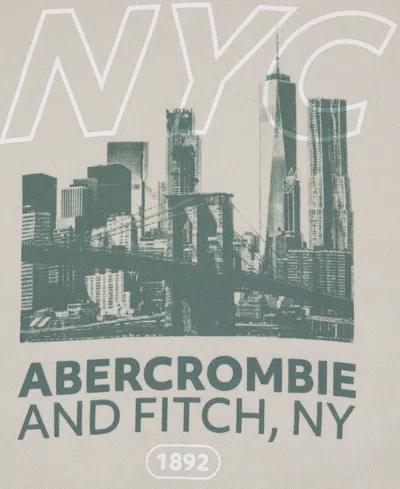 Abercrombie Boys 5-18 Buildings Pull-on Hoodie In Gray