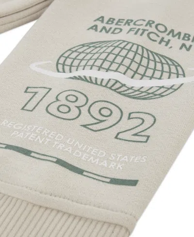 Abercrombie Boys 5-18 Buildings Pull-on Hoodie In Gray