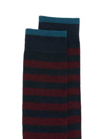 In The Box Striped Socks In Animal Print